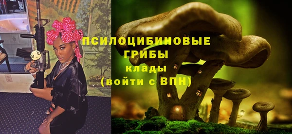 МДПВ Верхний Тагил