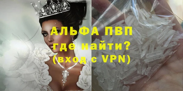 крисы Бородино